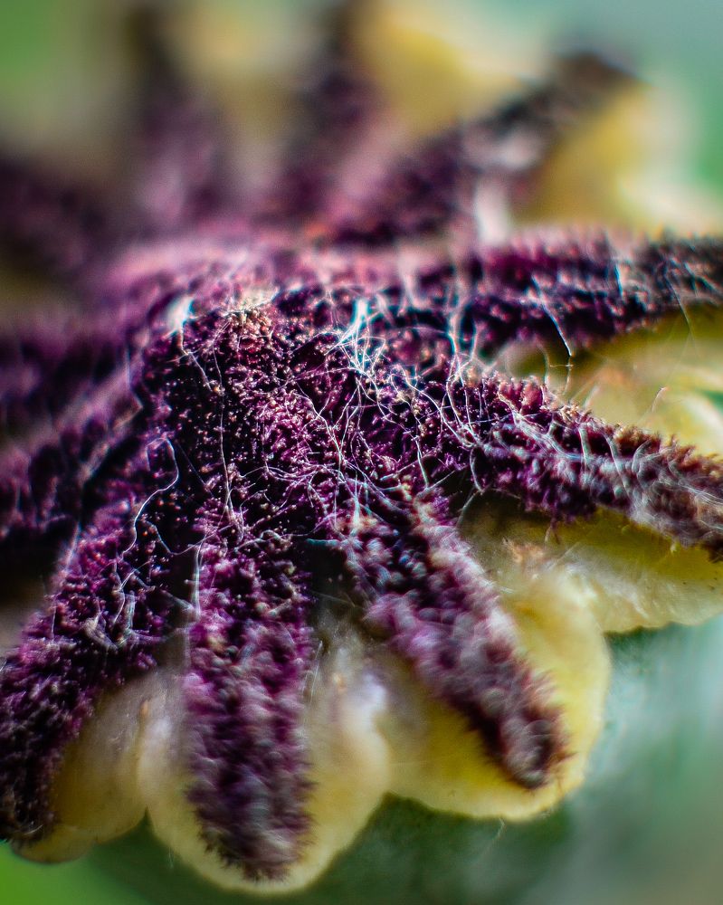 Photograph by Глухарев Сергей