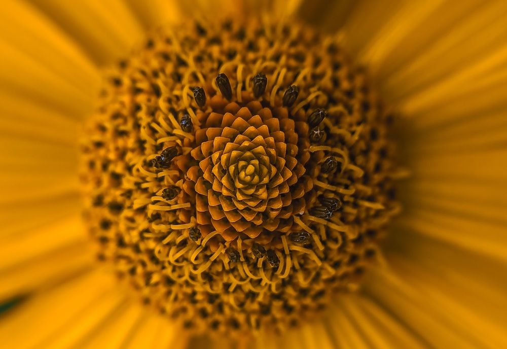 Photograph by Konstantin Martynov