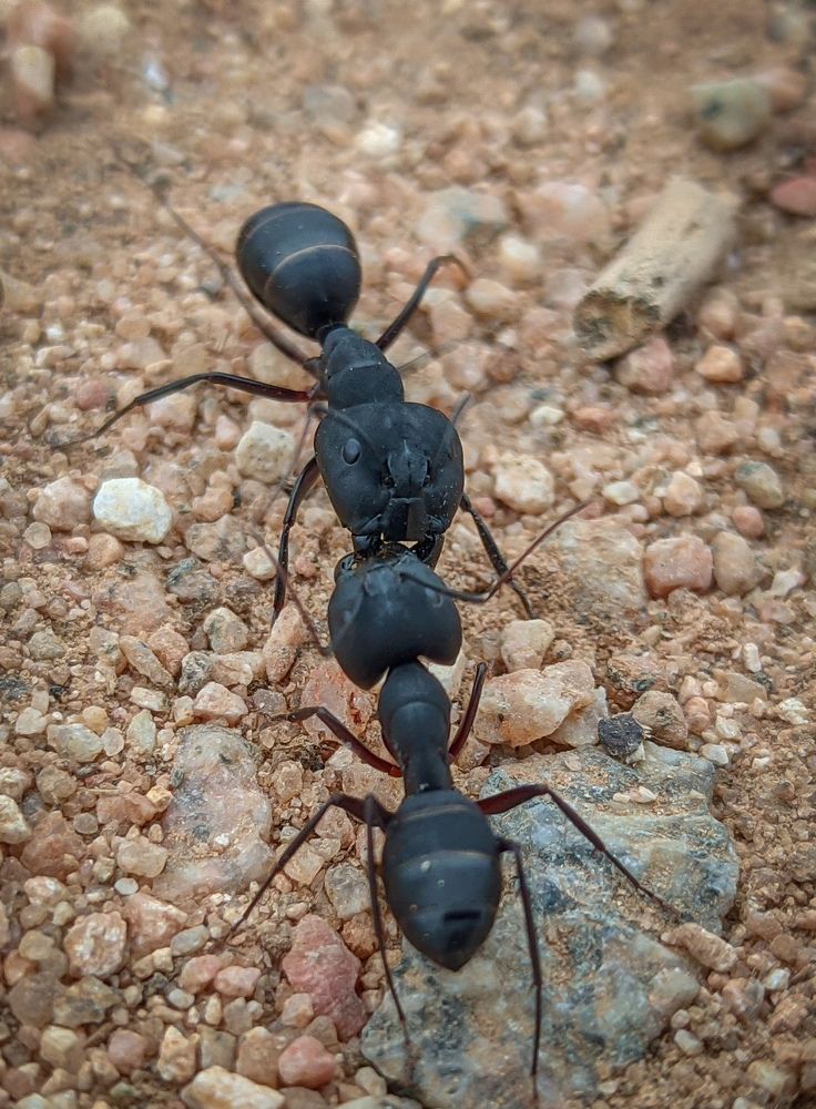 Photograph by Vijayakumar