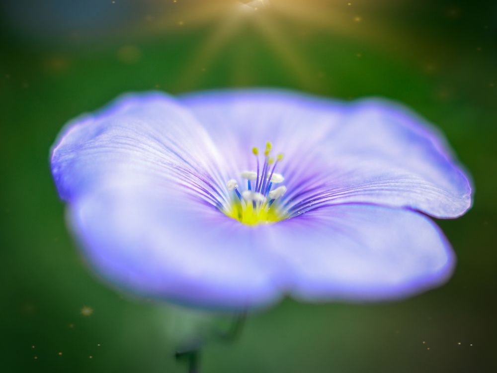 Photograph by Глухарев Сергей