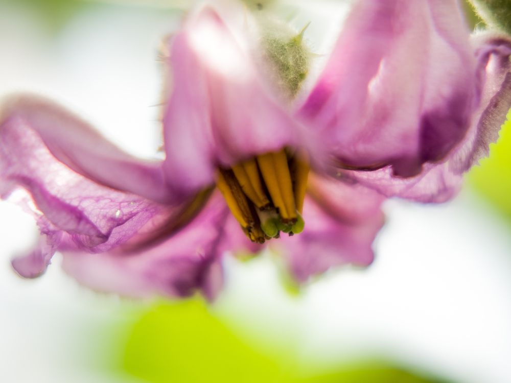 Фотография автора Дмитрий Хань