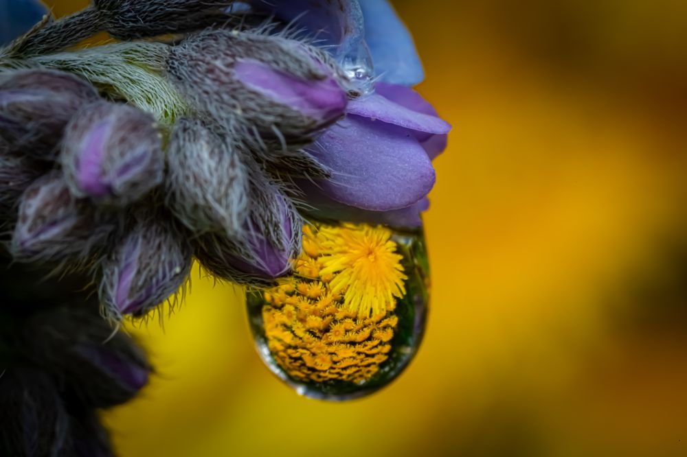 Photograph by Николай Фонарёв