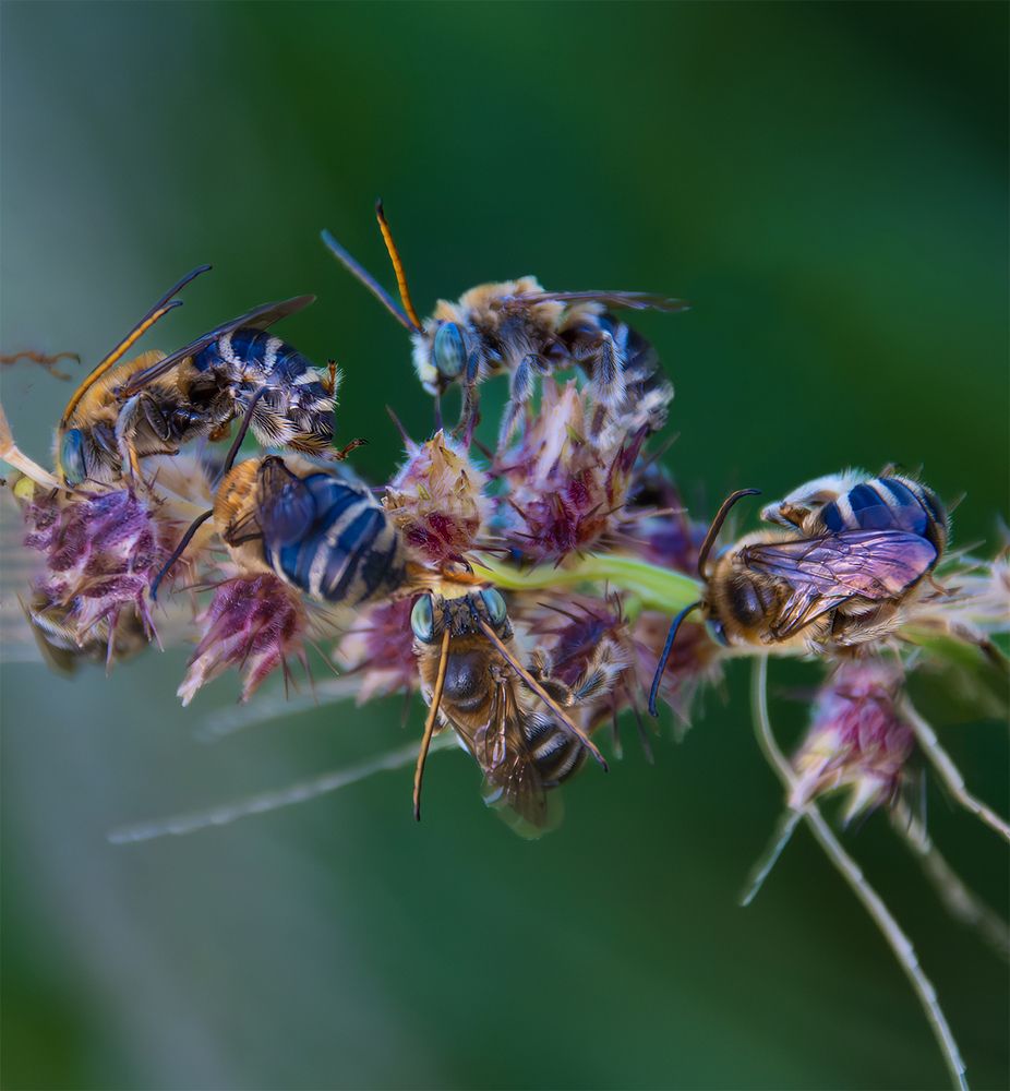 Photograph by Yainyt Alcazar Delgado