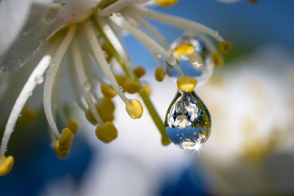 Photograph by Николай Фонарёв