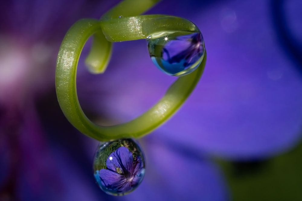 Photograph by Николай Фонарёв