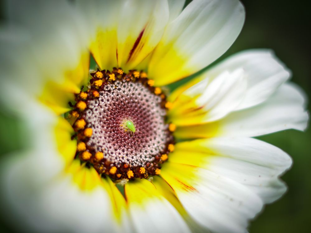 Photograph by Глухарев Сергей