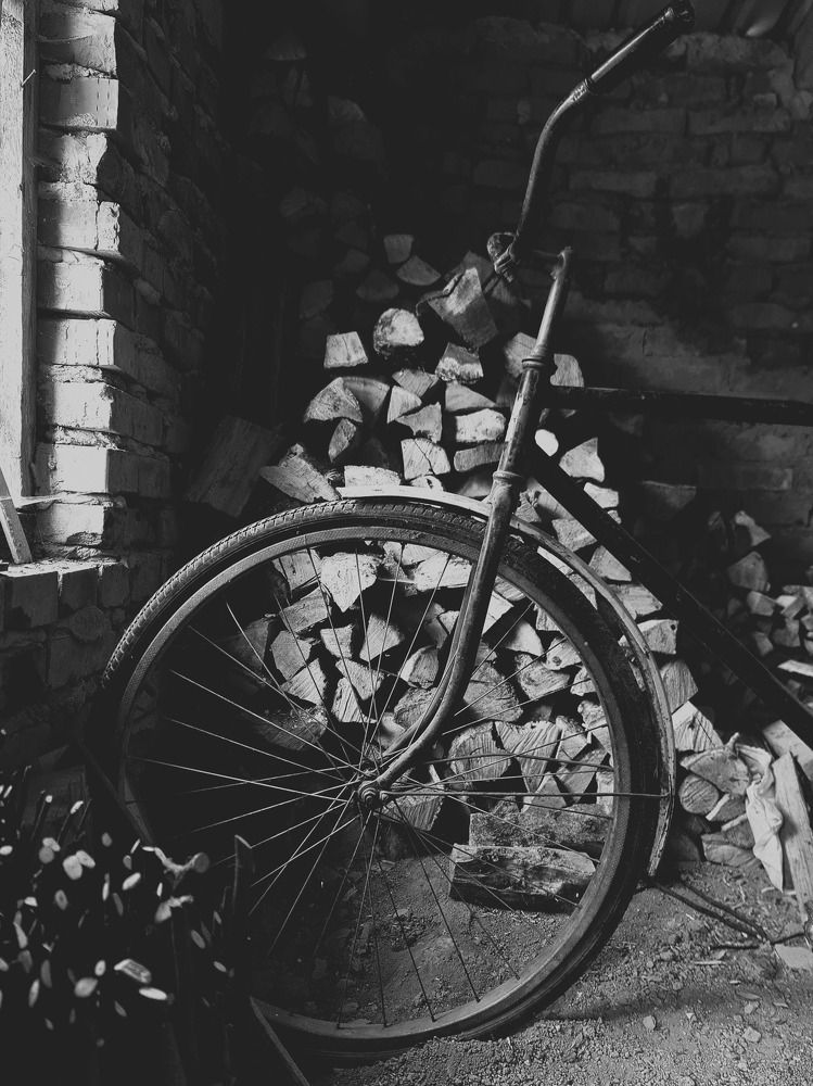 Photograph by Victoria Stoliarenko