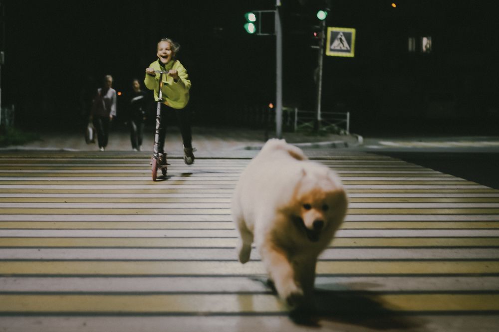 Photograph by Алексей Аверин