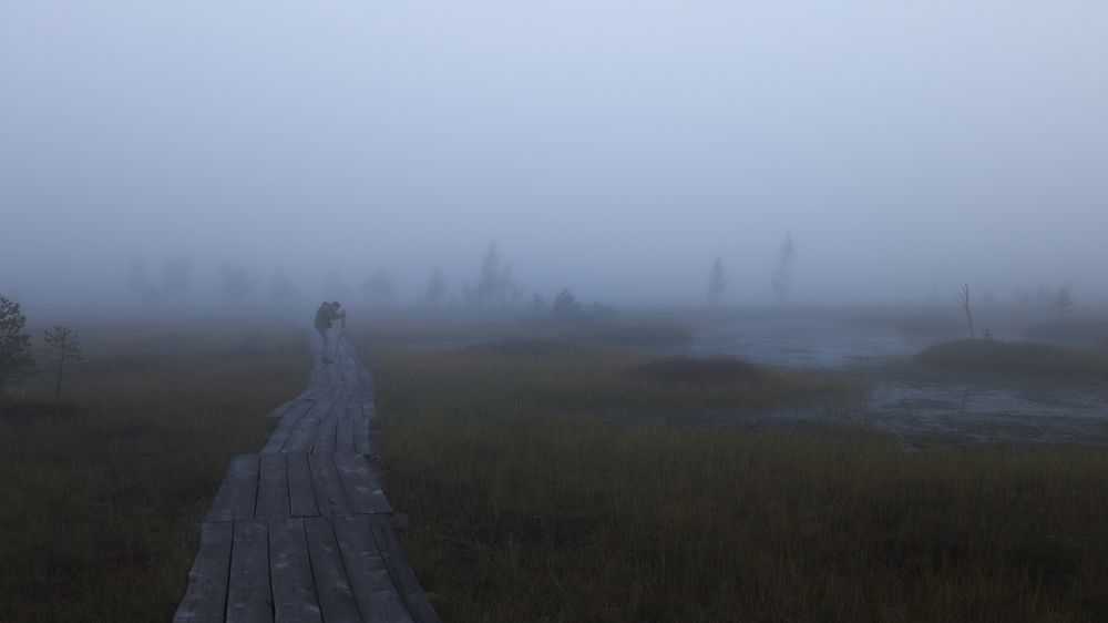 Фотография автора Андрей Врубель