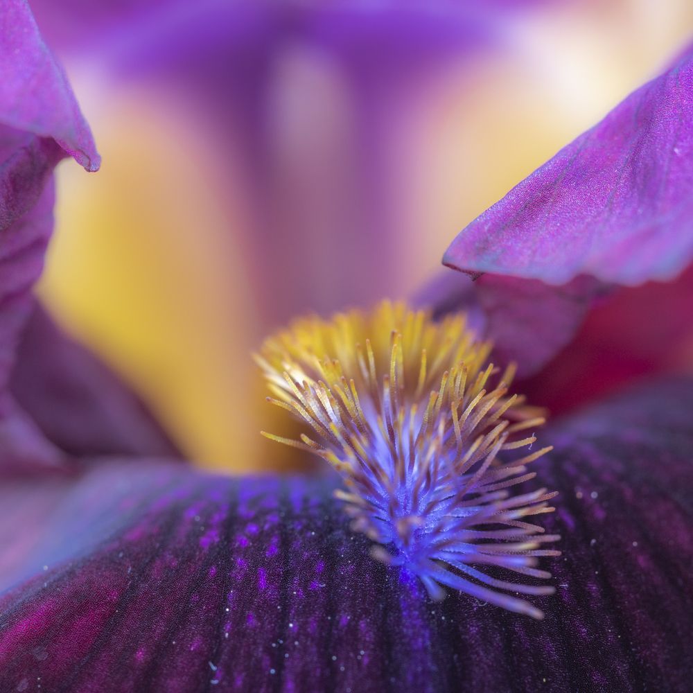 Photograph by Luca Menotti