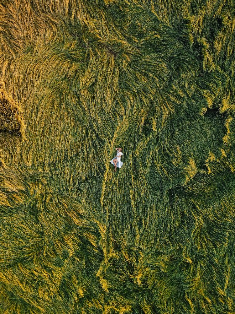 Море пшеницы