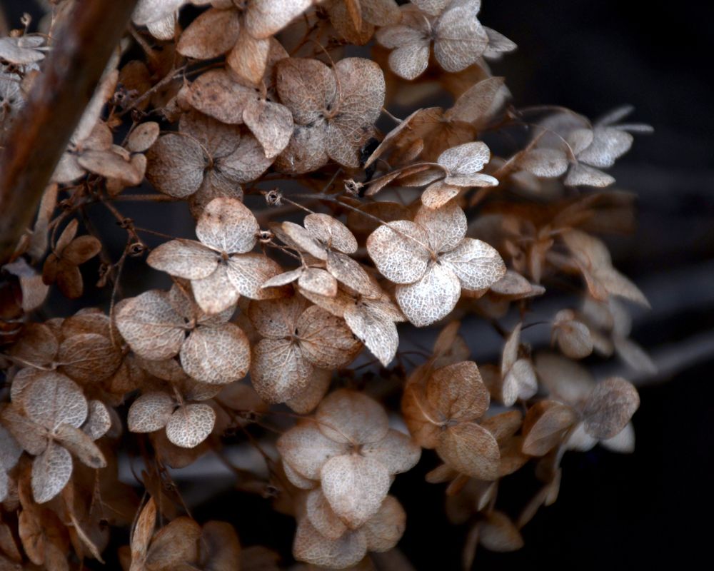 Photograph by Ксения Мироненко