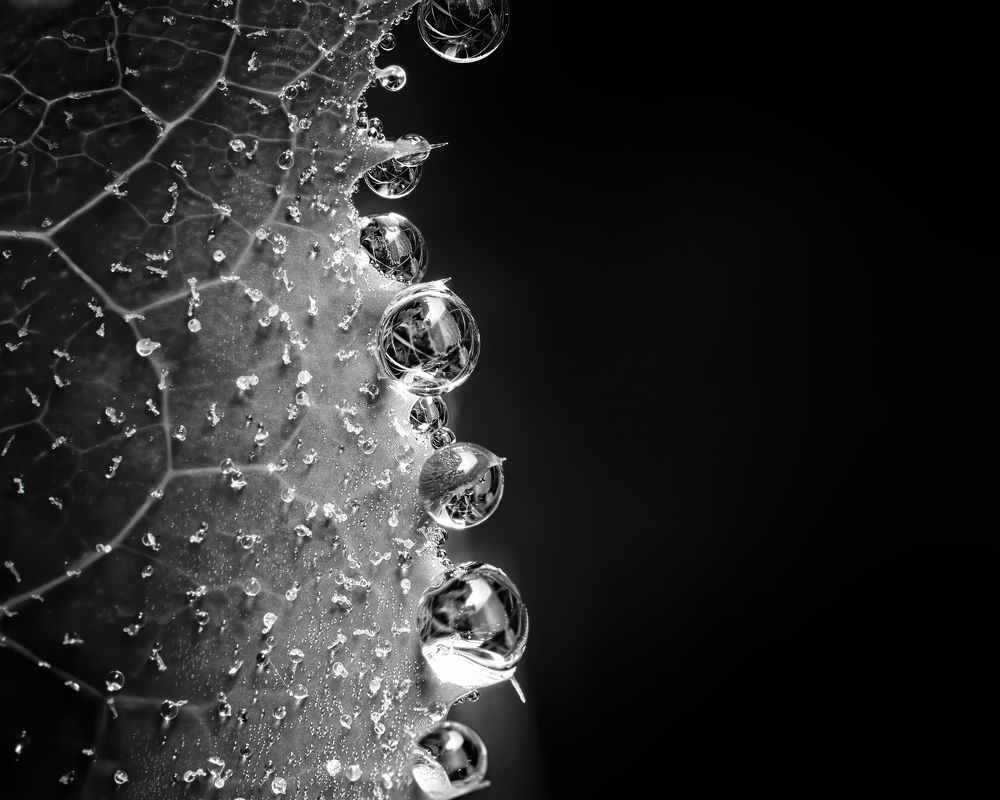 Photograph by Маргарита Смоленская