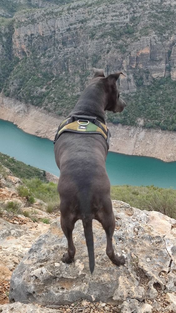 Photograph by Анна Курбатова