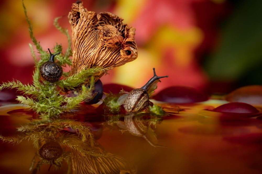 Photograph by Николай Фонарёв