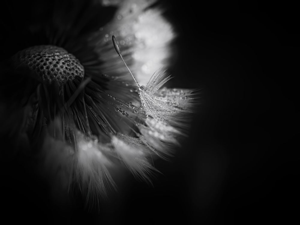 Photograph by Маргарита Смоленская