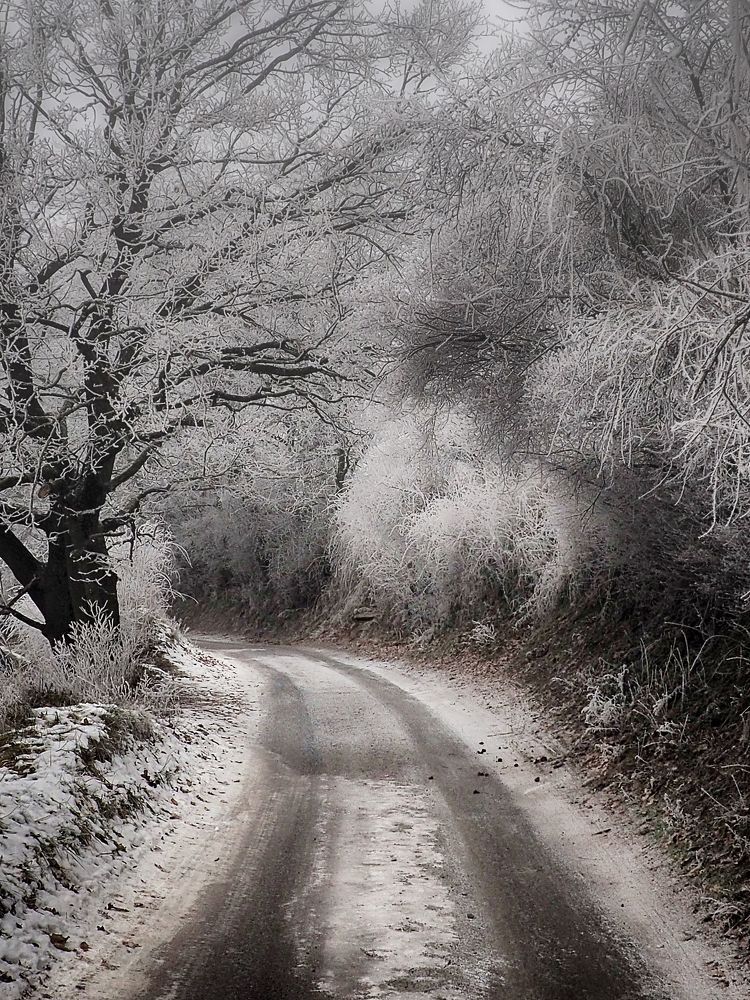 Photograph by Adrian Eperjessy