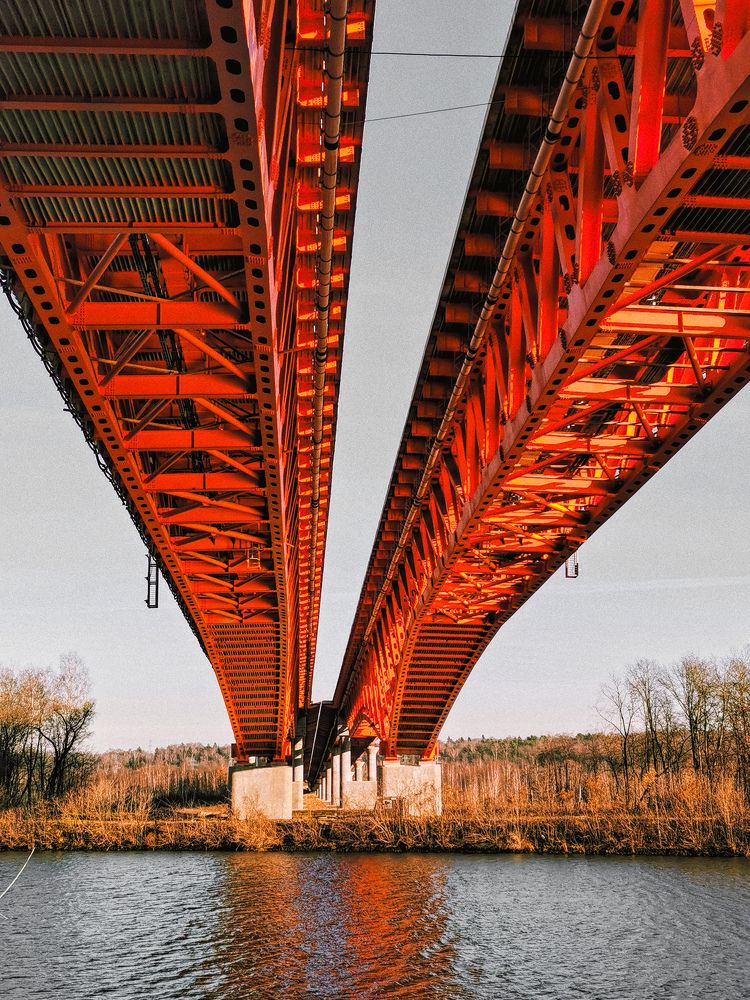 Photograph by Настя Хомастя