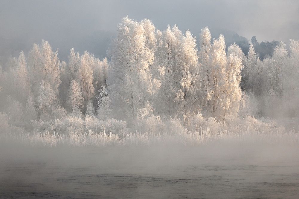 Photograph by Александр Попов