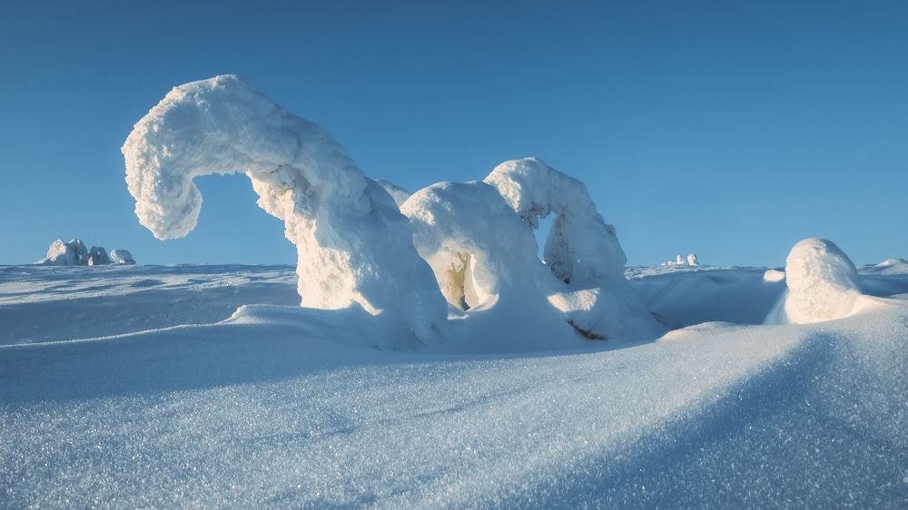 Photograph by Константин Пешков