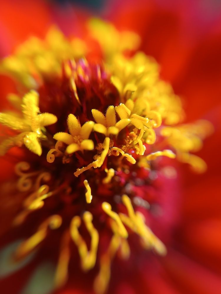 Photograph by Olga Kot