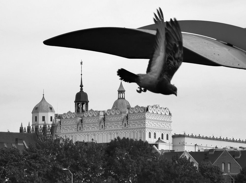 Photograph by Palina Mikhailouskaya