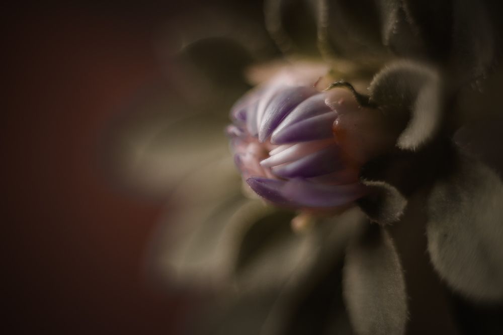 Photograph by Екатерина Мурсынина