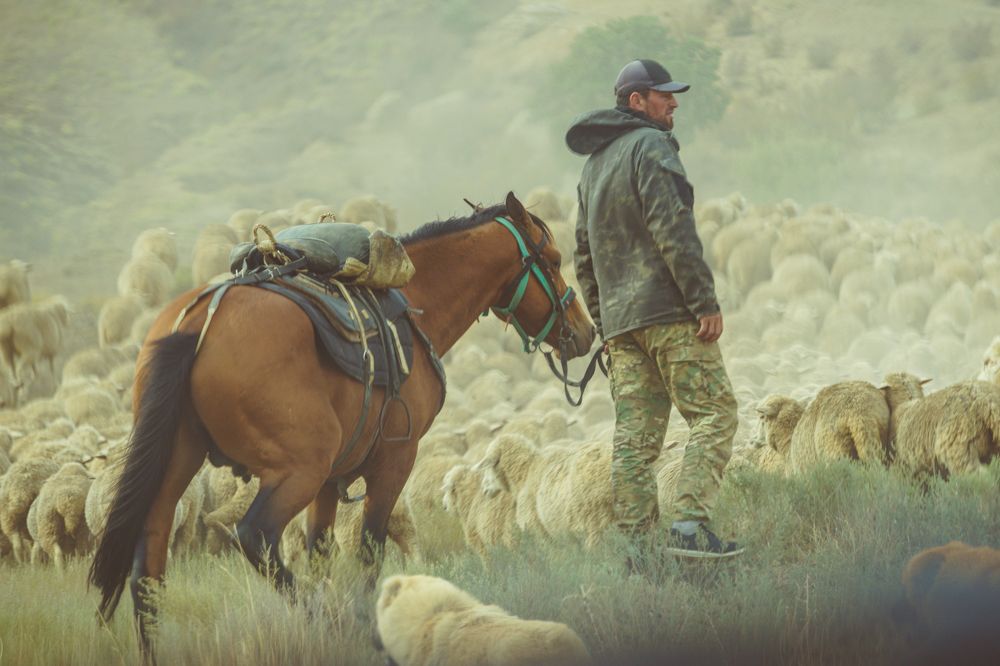 Photograph by Татьяна