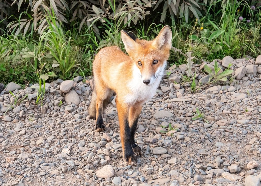 Photograph by Юрий Тимофеев