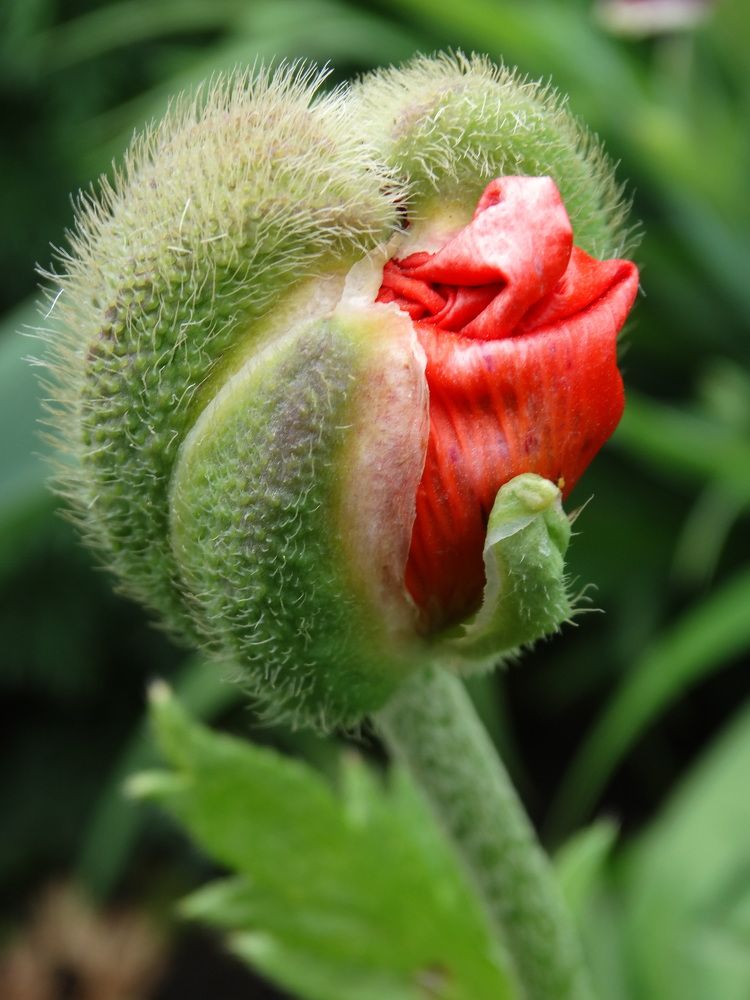 Photograph by Николай Худяков