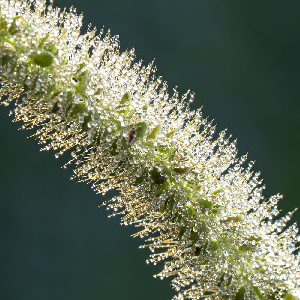 Photograph by Юрий Чернов