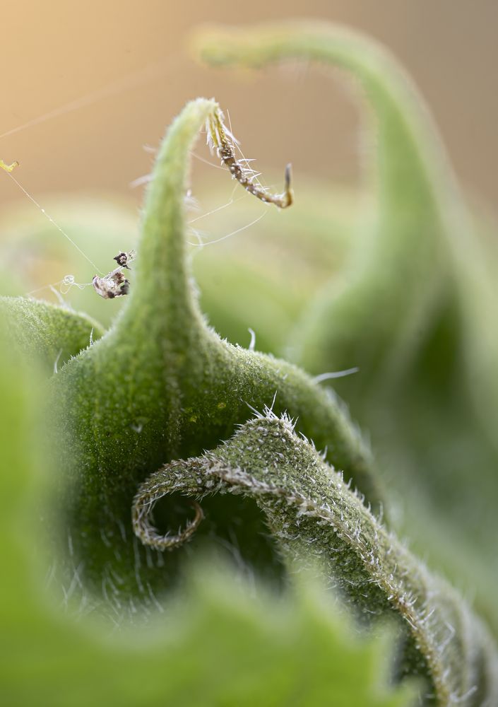 Photograph by Юрий Чернов