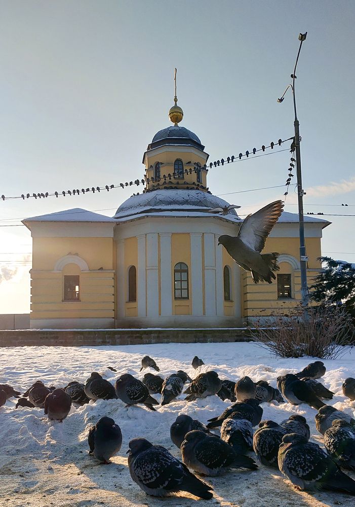 Photograph by Елена Алексеева