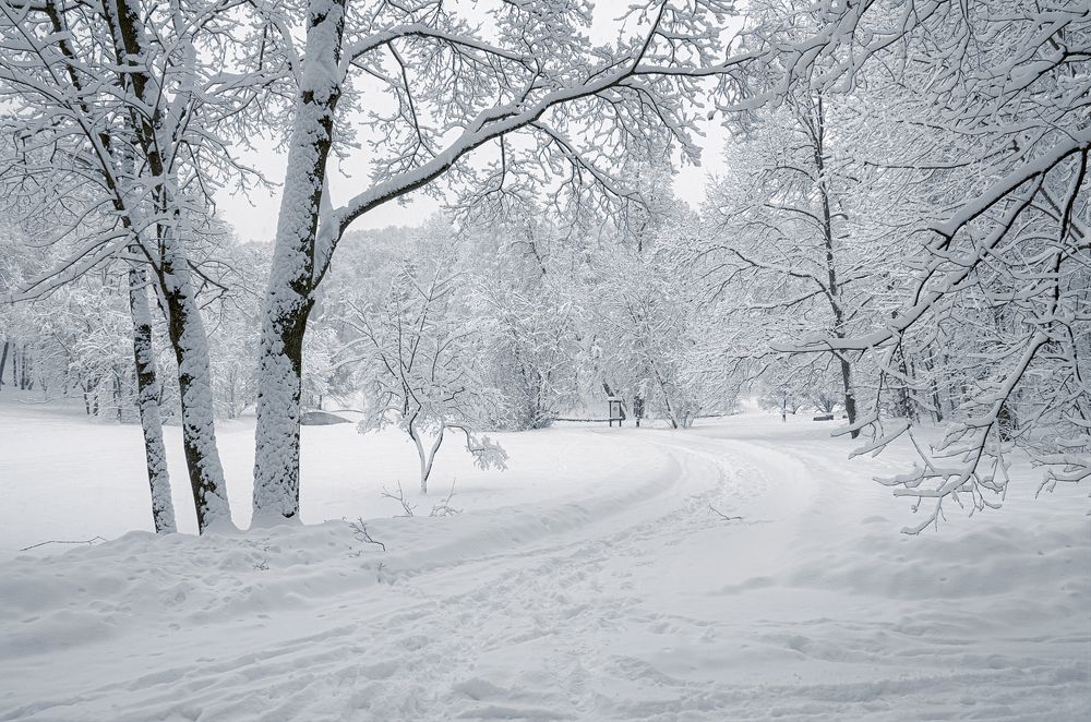 Photograph by Александр Гришин