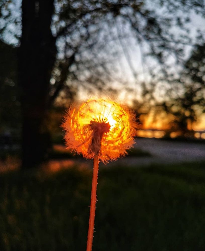 Photograph by Анна Напримерова