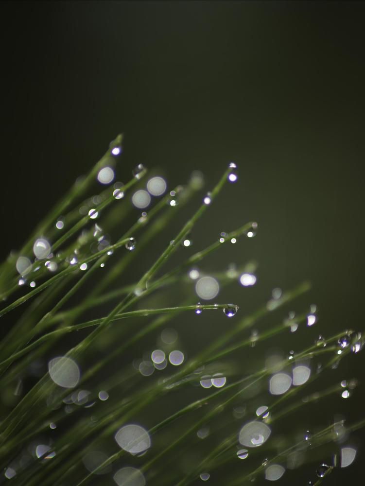 Photograph by Анастасия Рабочева