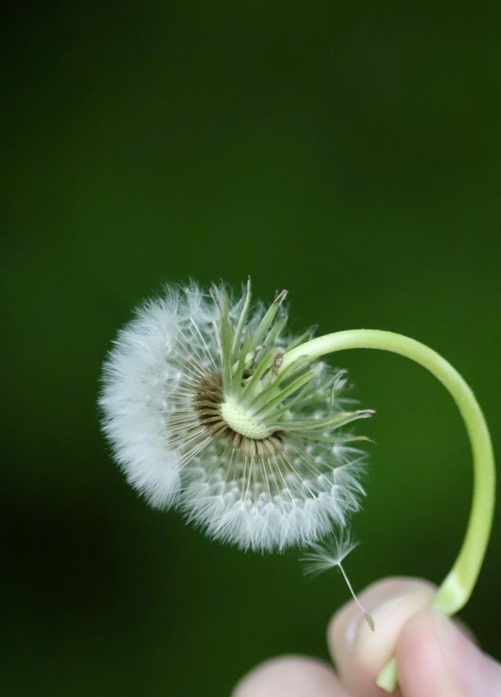 Photograph by Анастасия Рабочева