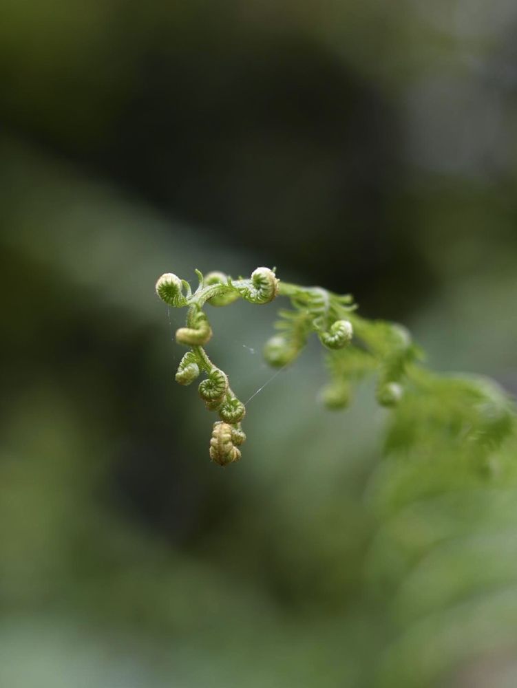 Photograph by Анастасия Рабочева