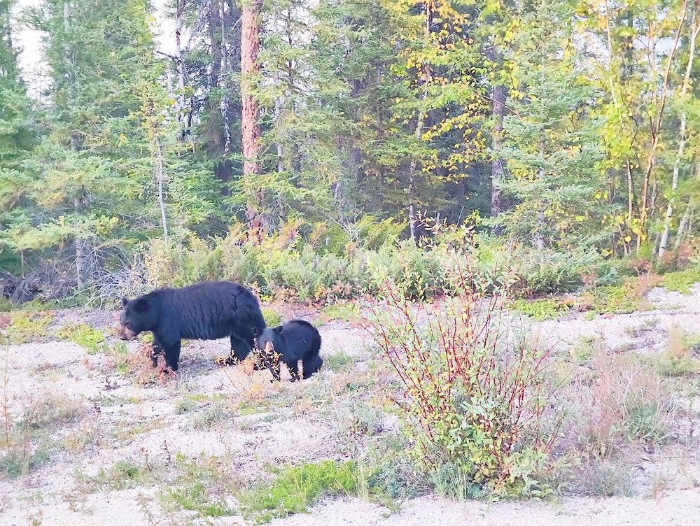 Photograph by JONATHAN VALDEZ