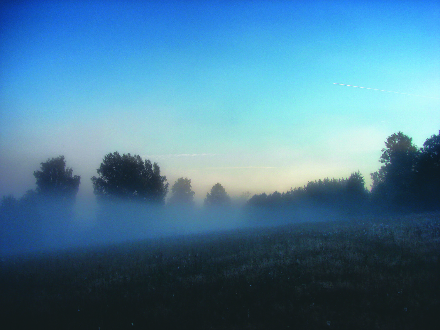 Photo #9513113