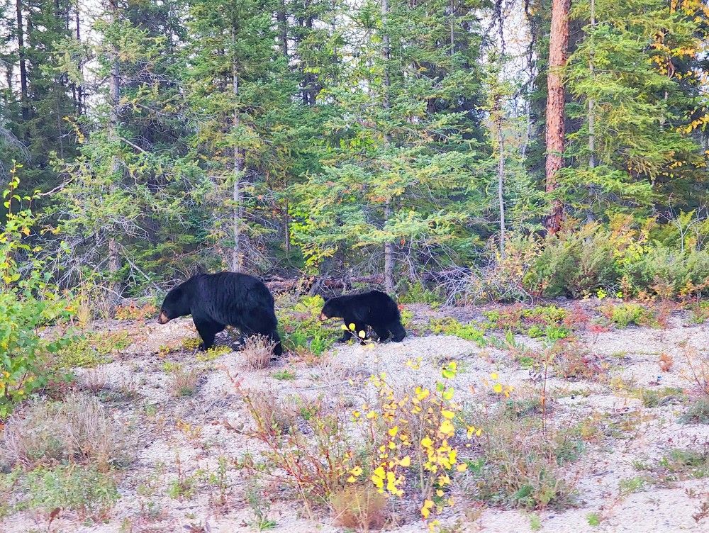 Photograph by JONATHAN VALDEZ