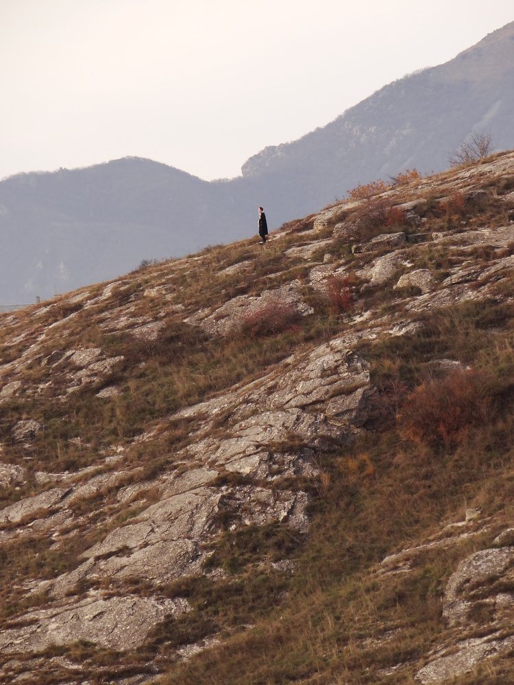 Photo #9513140
