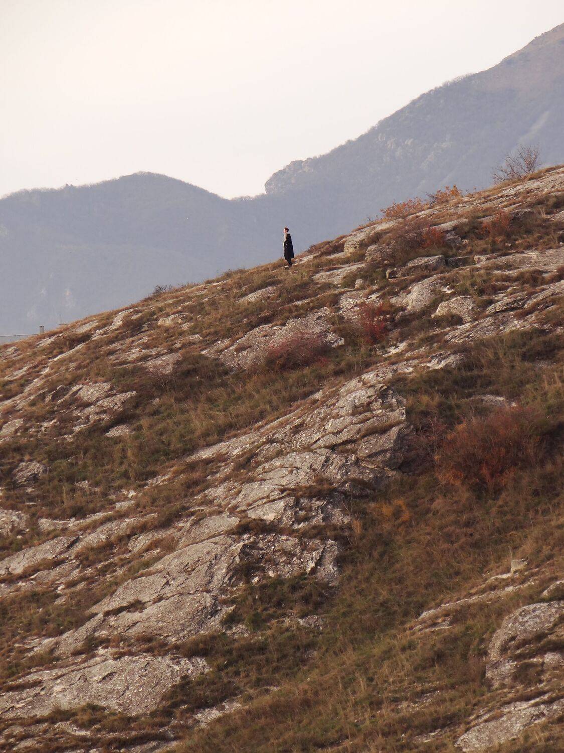 Photo #9513140