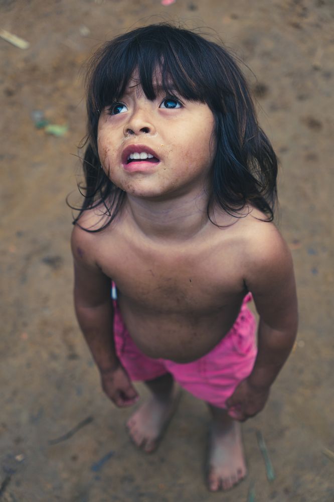 Is it a bird? Or a drone?