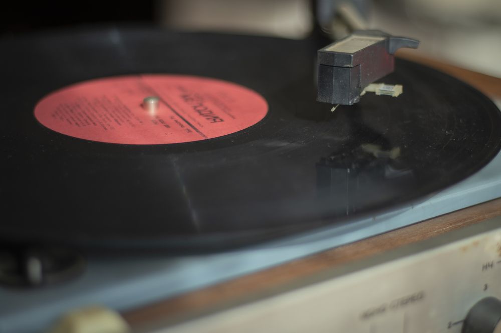 Photograph by Светлана Тарханова