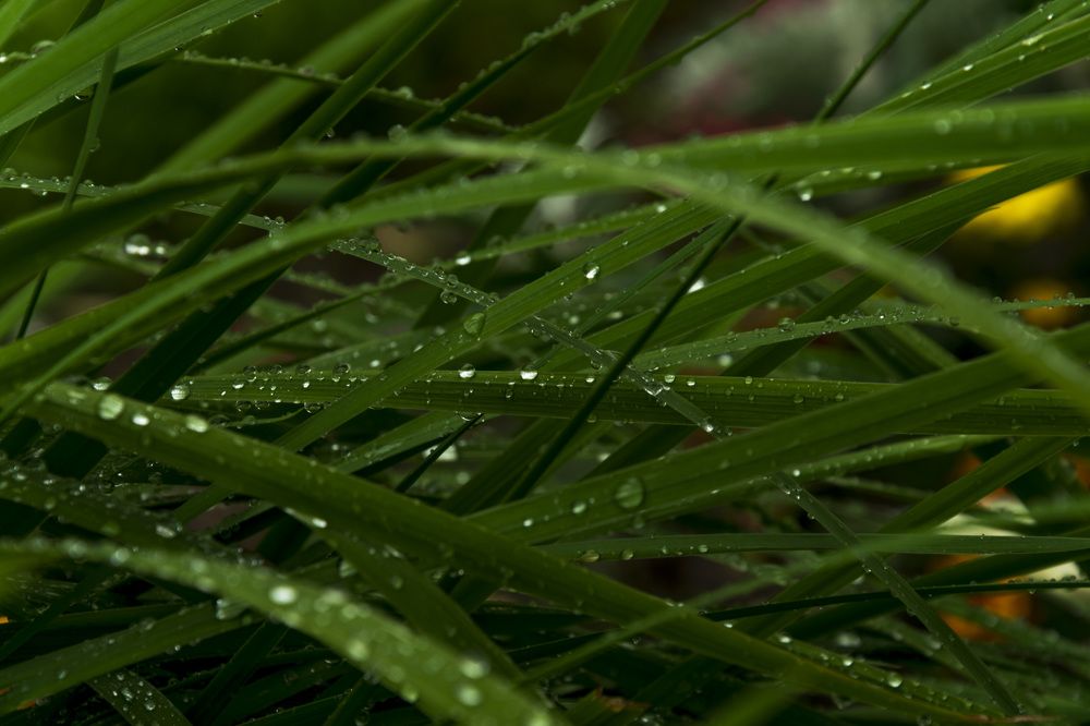 Photograph by Лилия Кондратьева