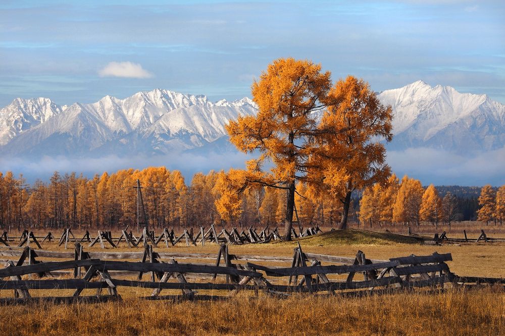 Photograph by Александр Попов