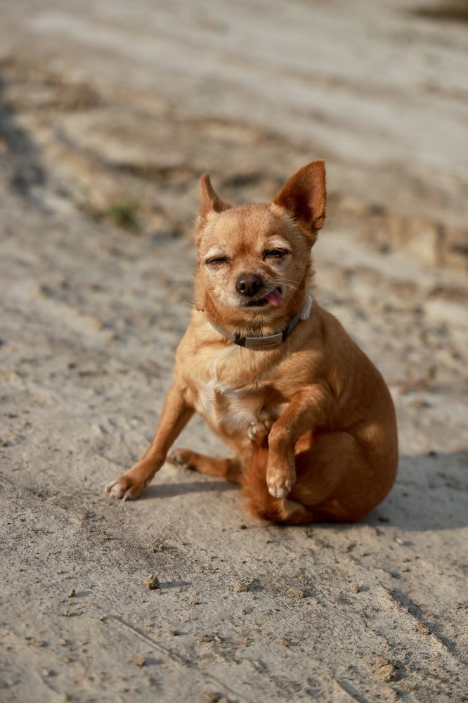 Photograph by Евгения Казакова