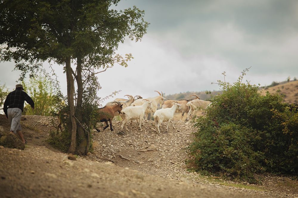 Photograph by Uliya Krakos