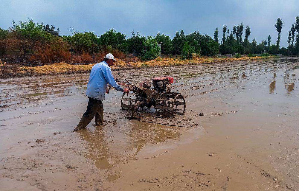 Photograph by mahdi ghanbari